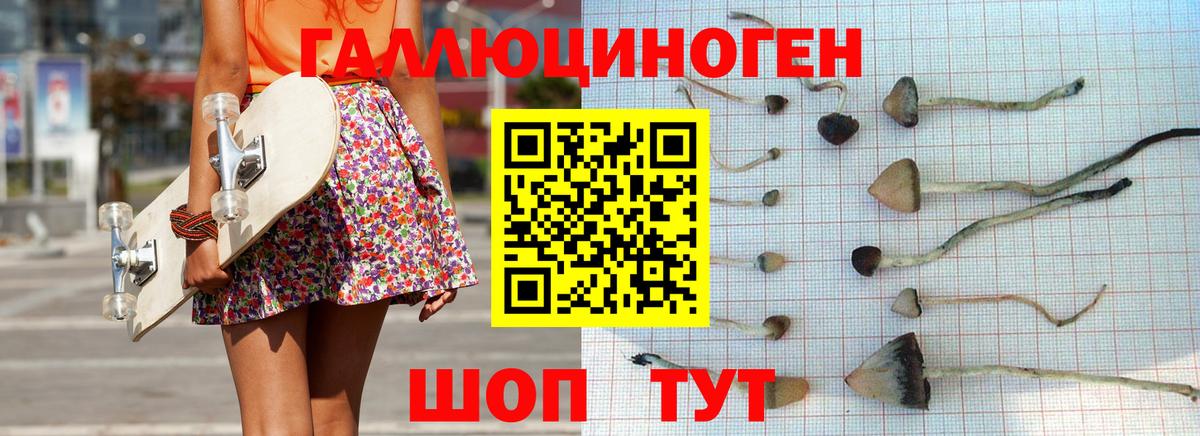 Псилоцибиновые грибы MAGIC MUSHROOMS  Вход с VPN  Наро-Фоминск 